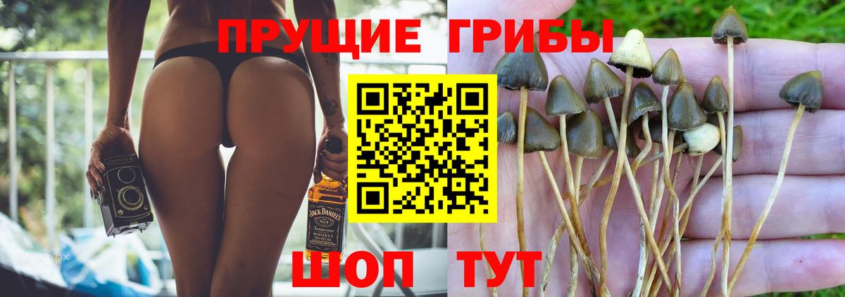 Краснокамск  Галлюциногенные грибы GOLDEN TEACHER  Псилоцибиновые грибы Magic Shrooms  Вход с VPN 
